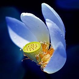 《装甲核心6》最新更新上线 平衡性调整改善稳定性